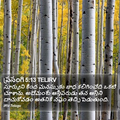 ప్రసంగి 5:13 TELIRV Bible Verse Image