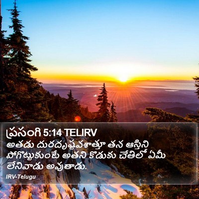 ప్రసంగి 5:14 TELIRV Bible Verse Image