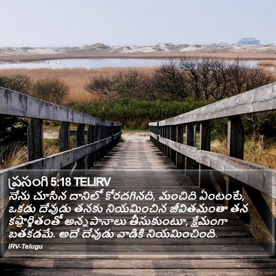 ప్రసంగి 5:18 TELIRV Bible Verse Image