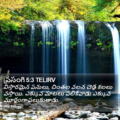 ప్రసంగి 5:3 TELIRV Bible Verse Image
