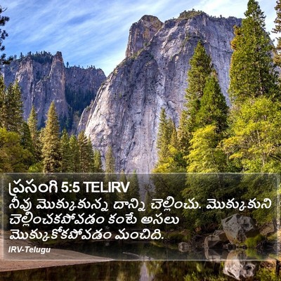 ప్రసంగి 5:5 TELIRV Bible Verse Image