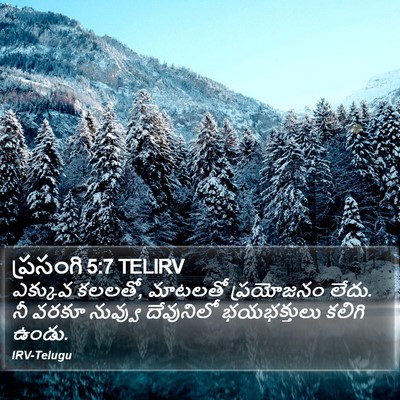 ప్రసంగి 5:7 TELIRV Bible Verse Image