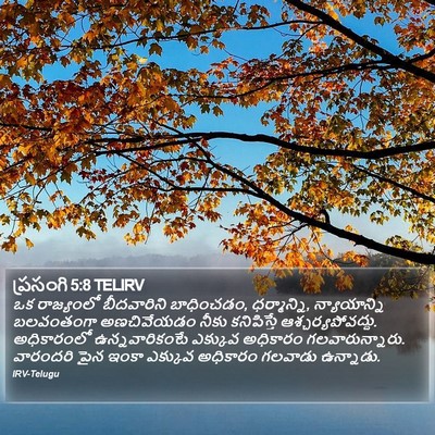 ప్రసంగి 5:8 TELIRV Bible Verse Image