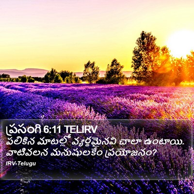 ప్రసంగి 6:11 TELIRV Bible Verse Image
