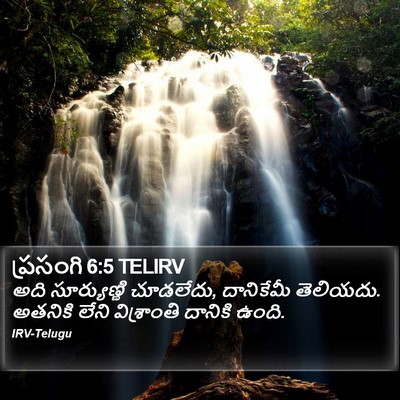 ప్రసంగి 6:5 TELIRV Bible Verse Image