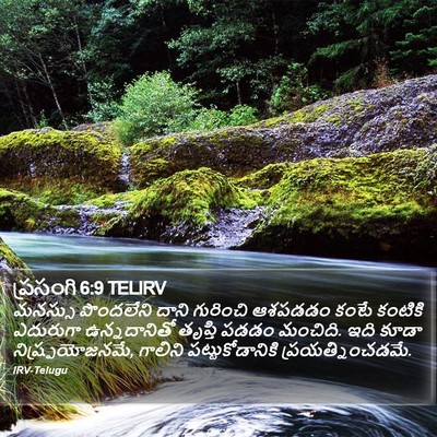 ప్రసంగి 6:9 TELIRV Bible Verse Image