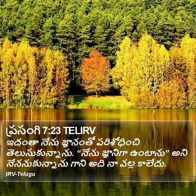 ప్రసంగి 7:23 TELIRV Bible Verse Image