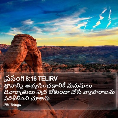 ప్రసంగి 8:16 TELIRV Bible Verse Image