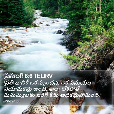 ప్రసంగి 8:6 TELIRV Bible Verse Image