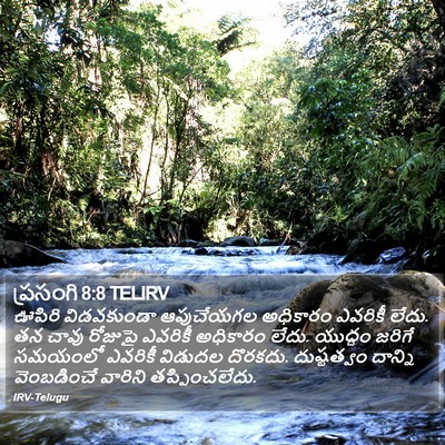 ప్రసంగి 8:8 TELIRV Bible Verse Image