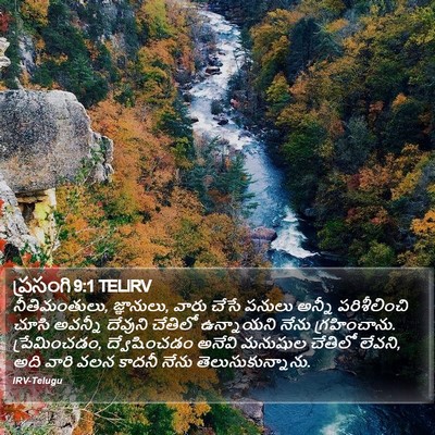 ప్రసంగి 9:1 TELIRV Bible Verse Image