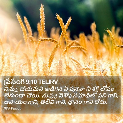 ప్రసంగి 9:10 TELIRV Bible Verse Image