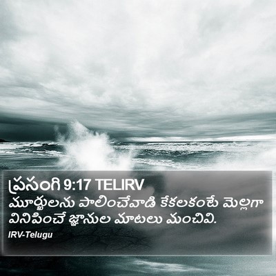 ప్రసంగి 9:17 TELIRV Bible Verse Image