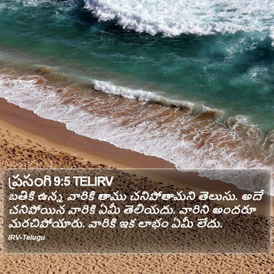 ప్రసంగి 9:5 TELIRV Bible Verse Image