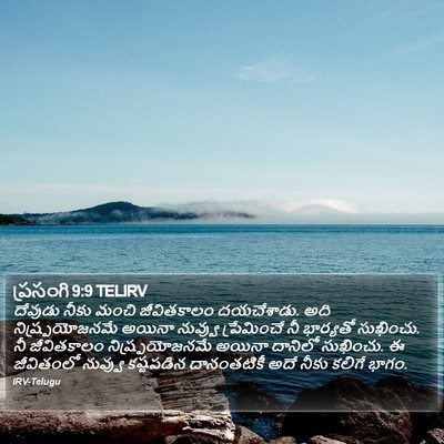 ప్రసంగి 9:9 TELIRV Bible Verse Image