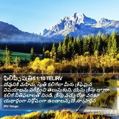 ఫిలిప్పీ పత్రిక 1:10 TELIRV Bible Verse Image
