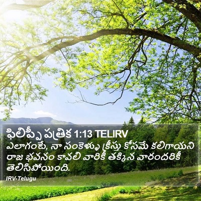 ఫిలిప్పీ పత్రిక 1:13 TELIRV Bible Verse Image