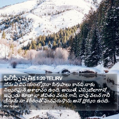 ఫిలిప్పీ పత్రిక 1:20 TELIRV Bible Verse Image