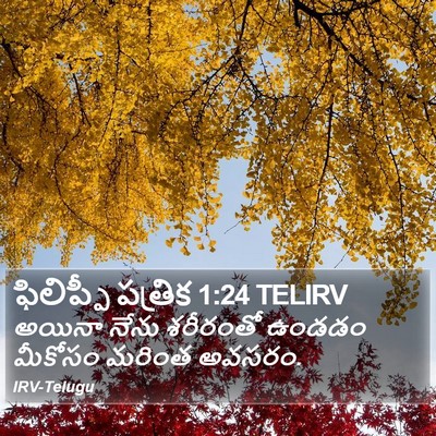 ఫిలిప్పీ పత్రిక 1:24 TELIRV Bible Verse Image