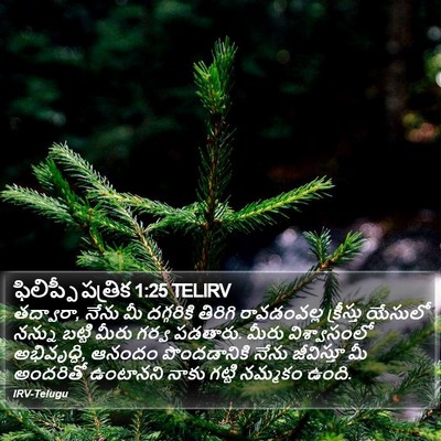ఫిలిప్పీ పత్రిక 1:25 TELIRV Bible Verse Image