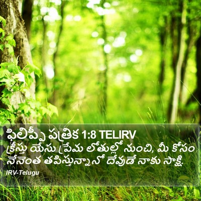 ఫిలిప్పీ పత్రిక 1:8 TELIRV Bible Verse Image