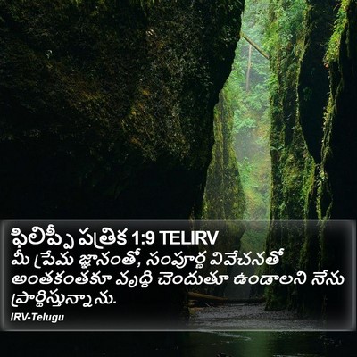 ఫిలిప్పీ పత్రిక 1:9 TELIRV Bible Verse Image