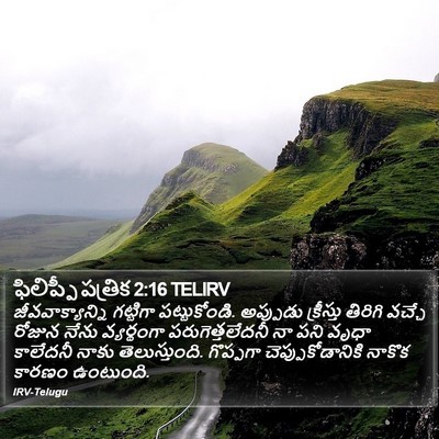 ఫిలిప్పీ పత్రిక 2:16 TELIRV Bible Verse Image
