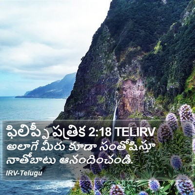 ఫిలిప్పీ పత్రిక 2:18 TELIRV Bible Verse Image