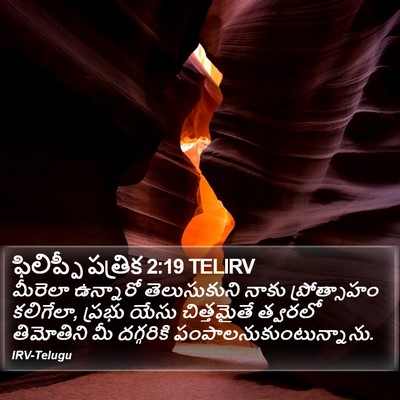 ఫిలిప్పీ పత్రిక 2:19 TELIRV Bible Verse Image