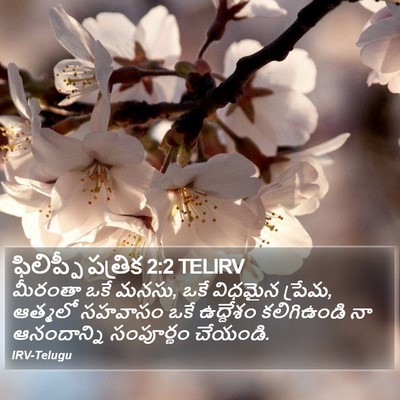 ఫిలిప్పీ పత్రిక 2:2 TELIRV Bible Verse Image