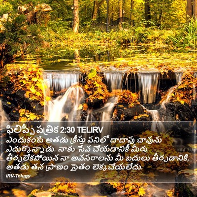 ఫిలిప్పీ పత్రిక 2:30 TELIRV Bible Verse Image