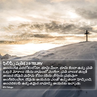ఫిలిప్పీ పత్రిక 2:9 TELIRV Bible Verse Image