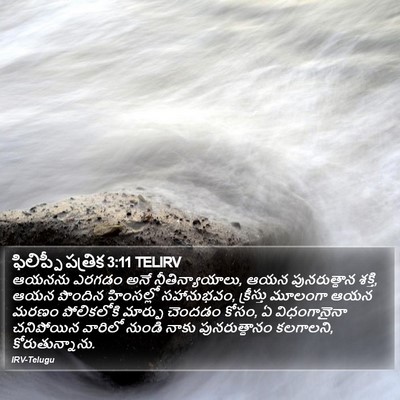 ఫిలిప్పీ పత్రిక 3:11 TELIRV Bible Verse Image