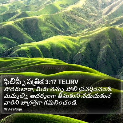 ఫిలిప్పీ పత్రిక 3:17 TELIRV Bible Verse Image