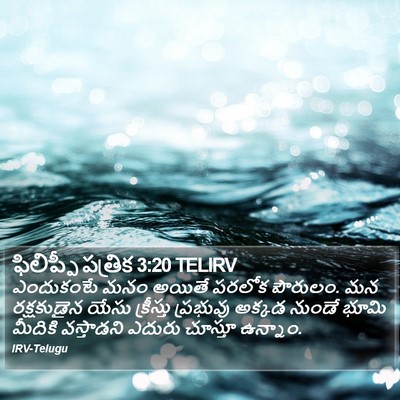 ఫిలిప్పీ పత్రిక 3:20 TELIRV Bible Verse Image