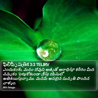 ఫిలిప్పీ పత్రిక 3:3 TELIRV Bible Verse Image