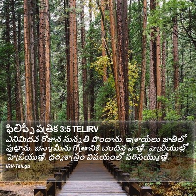 ఫిలిప్పీ పత్రిక 3:5 TELIRV Bible Verse Image