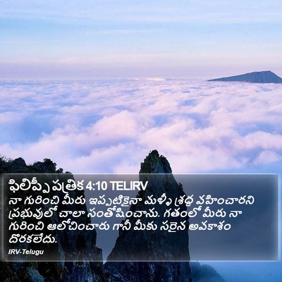 ఫిలిప్పీ పత్రిక 4:10 TELIRV Bible Verse Image