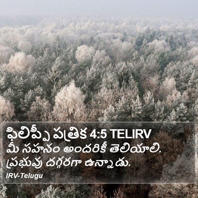 ఫిలిప్పీ పత్రిక 4:5 TELIRV Bible Verse Image