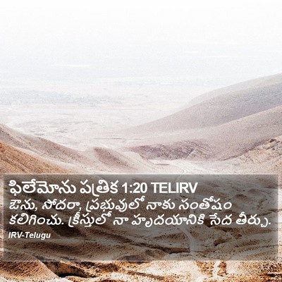 ఫిలేమోను పత్రిక 1:20 TELIRV Bible Verse Image