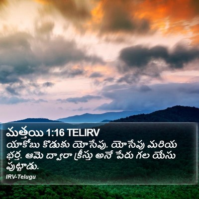 మత్తయి 1:16 TELIRV Bible Verse Image