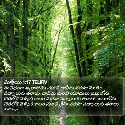 మత్తయి 1:17 TELIRV Bible Verse Image