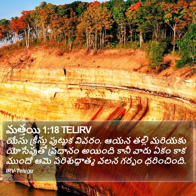 మత్తయి 1:18 TELIRV Bible Verse Image