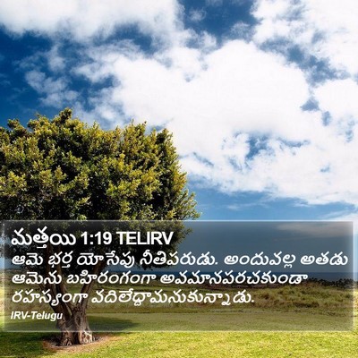 మత్తయి 1:19 TELIRV Bible Verse Image