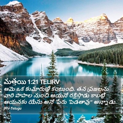మత్తయి 1:21 TELIRV Bible Verse Image