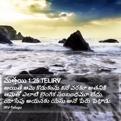 మత్తయి 1:25 TELIRV Bible Verse Image