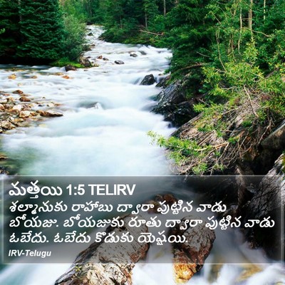 మత్తయి 1:5 TELIRV Bible Verse Image