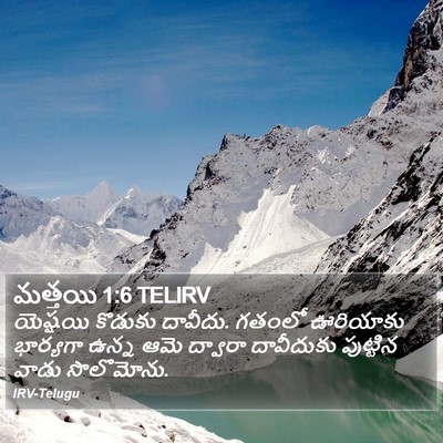 మత్తయి 1:6 TELIRV Bible Verse Image