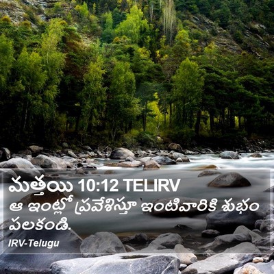 మత్తయి 10:12 TELIRV Bible Verse Image