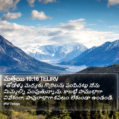 మత్తయి 10:16 TELIRV Bible Verse Image